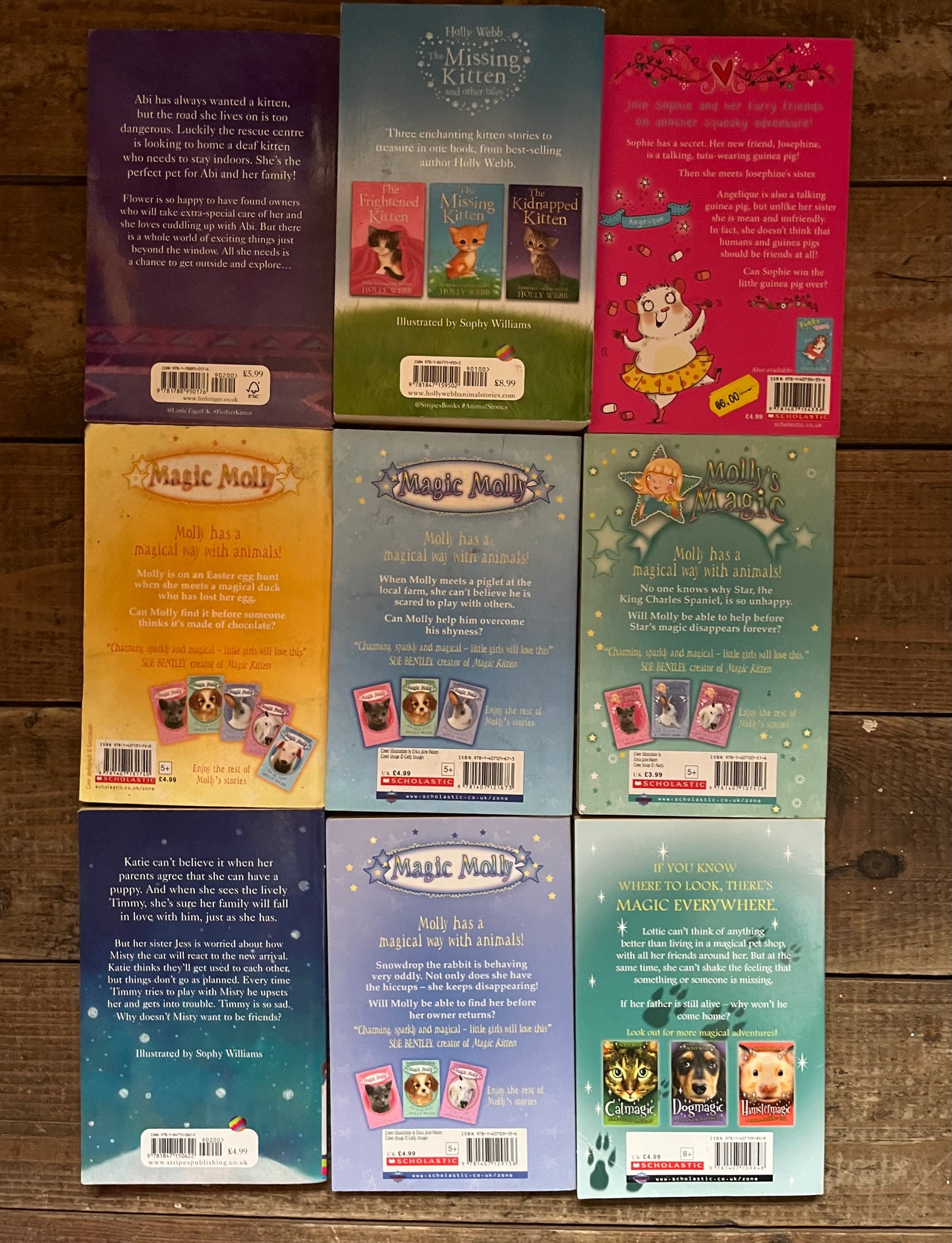 Holly Webb book set