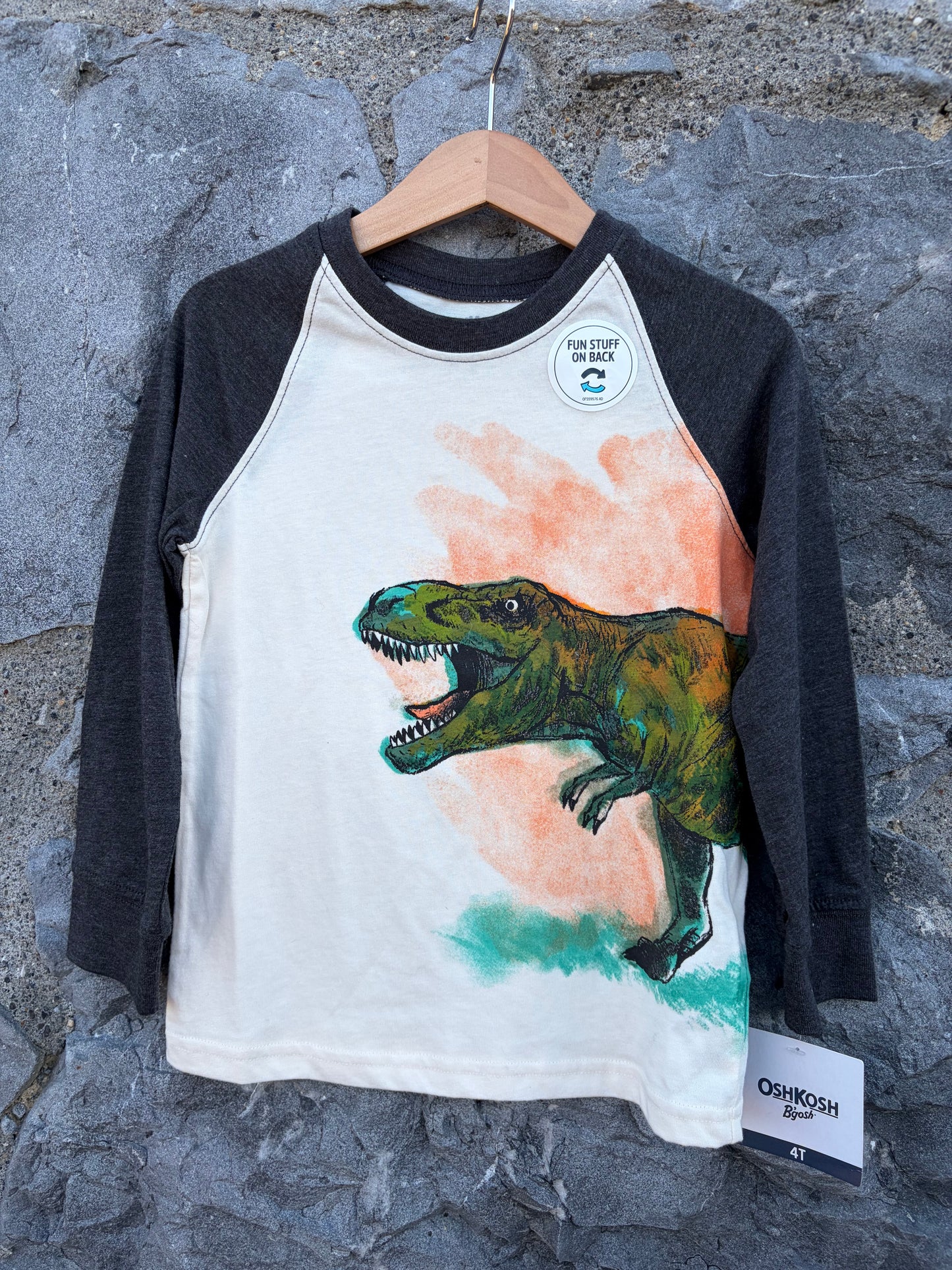T-rex raglan top  4y (104cm)