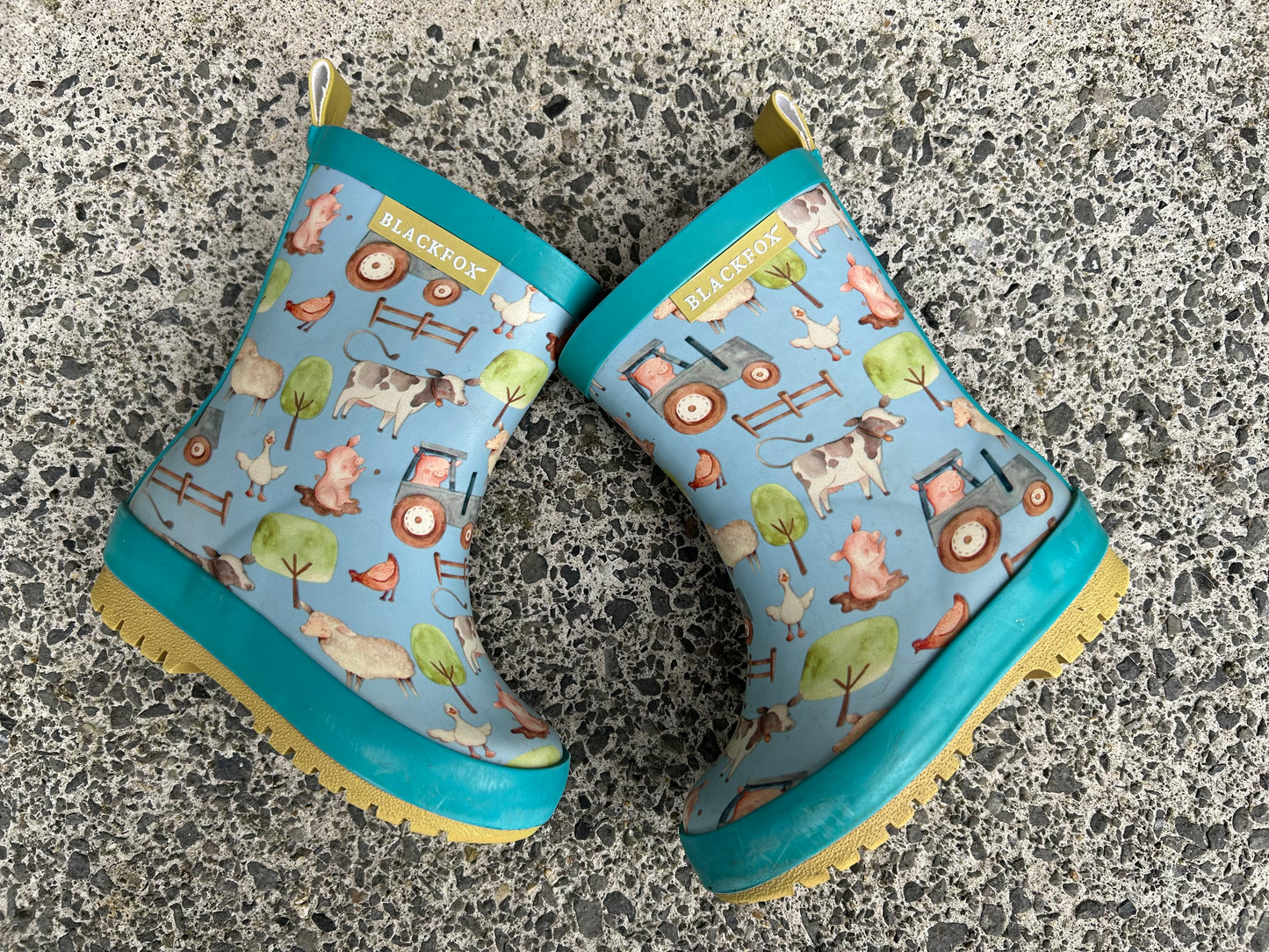 Blue farm wellies   uk 5 (eu 21)