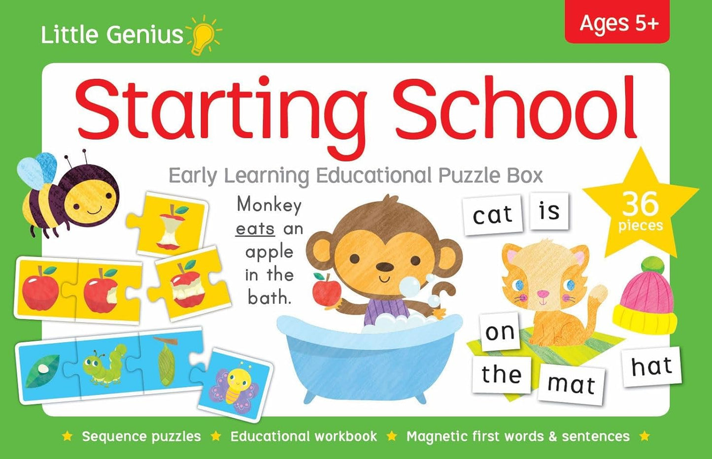 Starting school early counting puzzle box