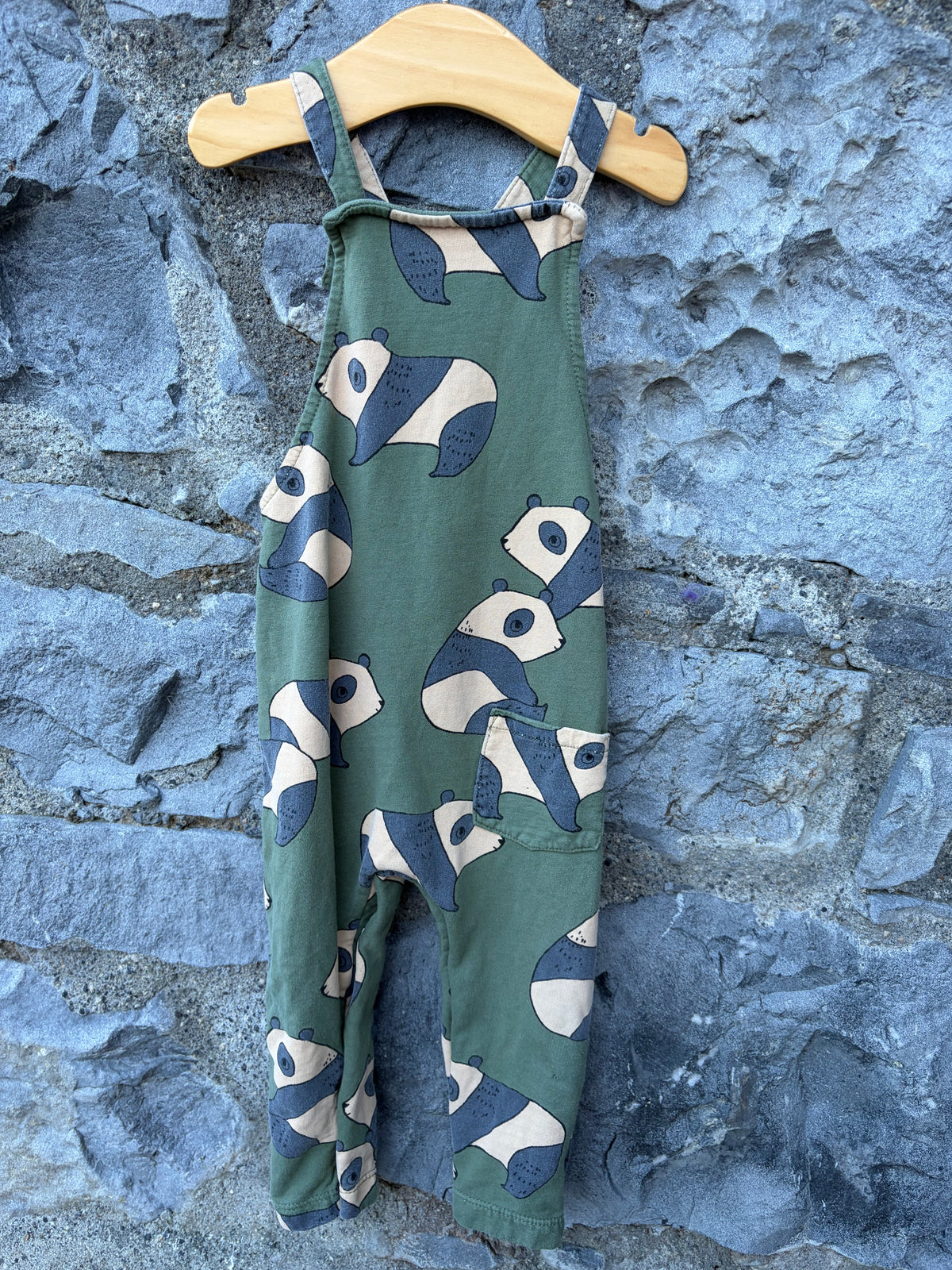 Pandas Green dungarees  12-18m (80-86cm)