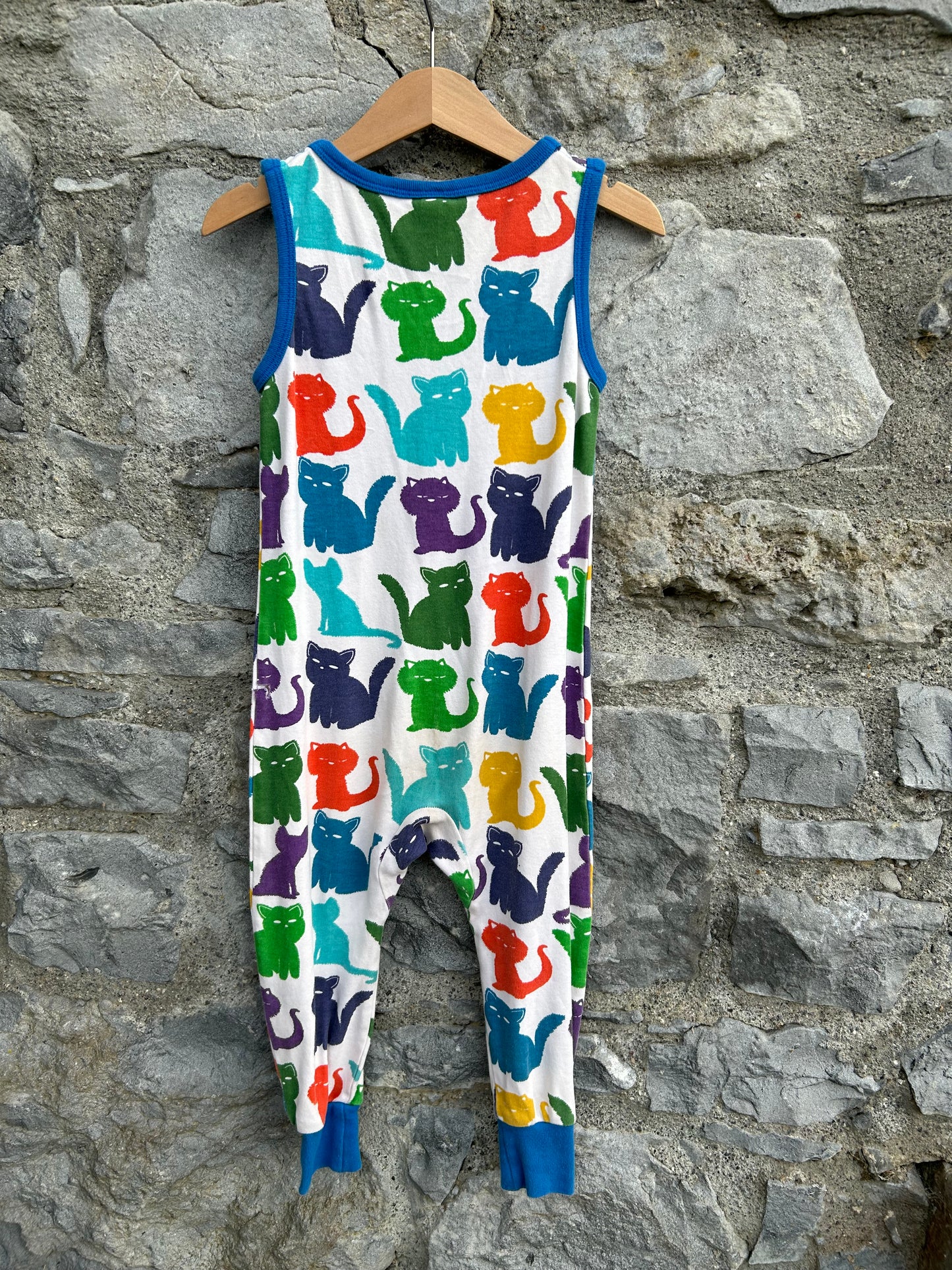 Colourful cats dungarees   2y (92cm)