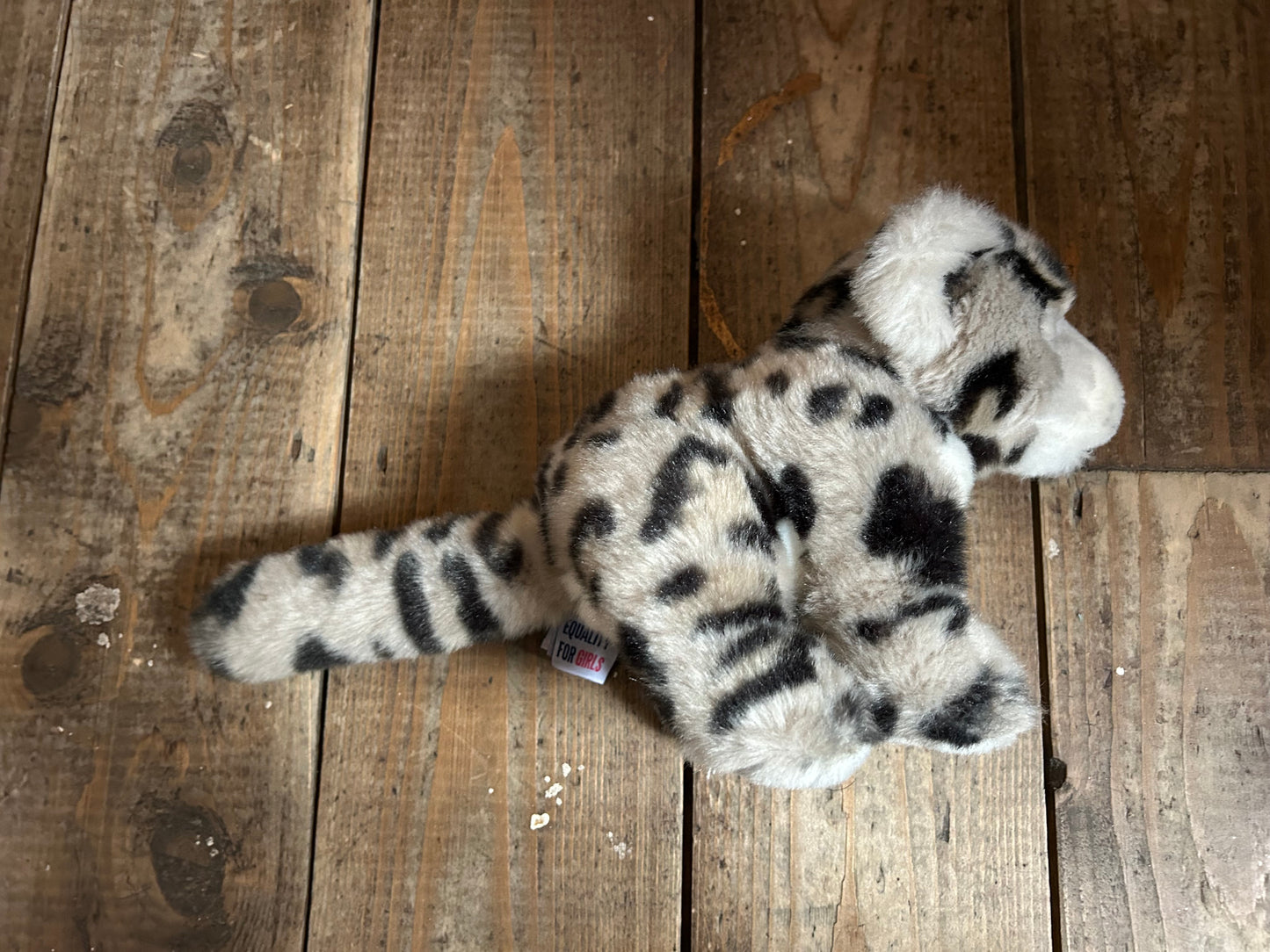 Snow leopard