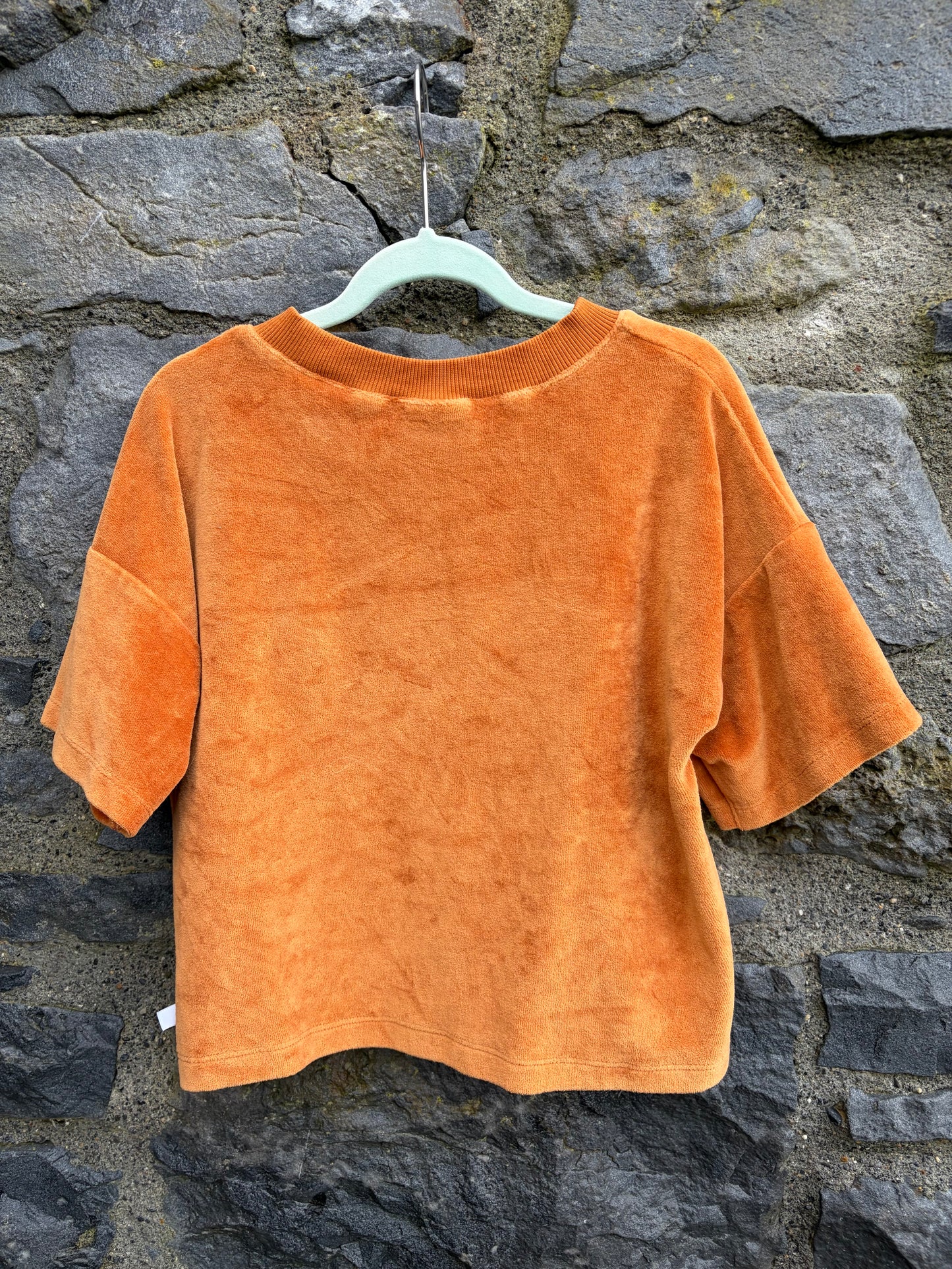 Rusty velvet cropped T-shirt  9-10y (134-140cm)