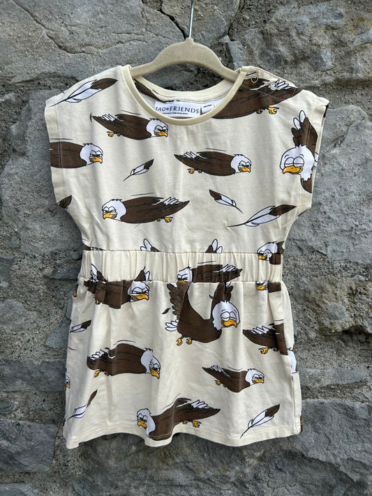 Eagles cream dress  9-12m (74-80cm)