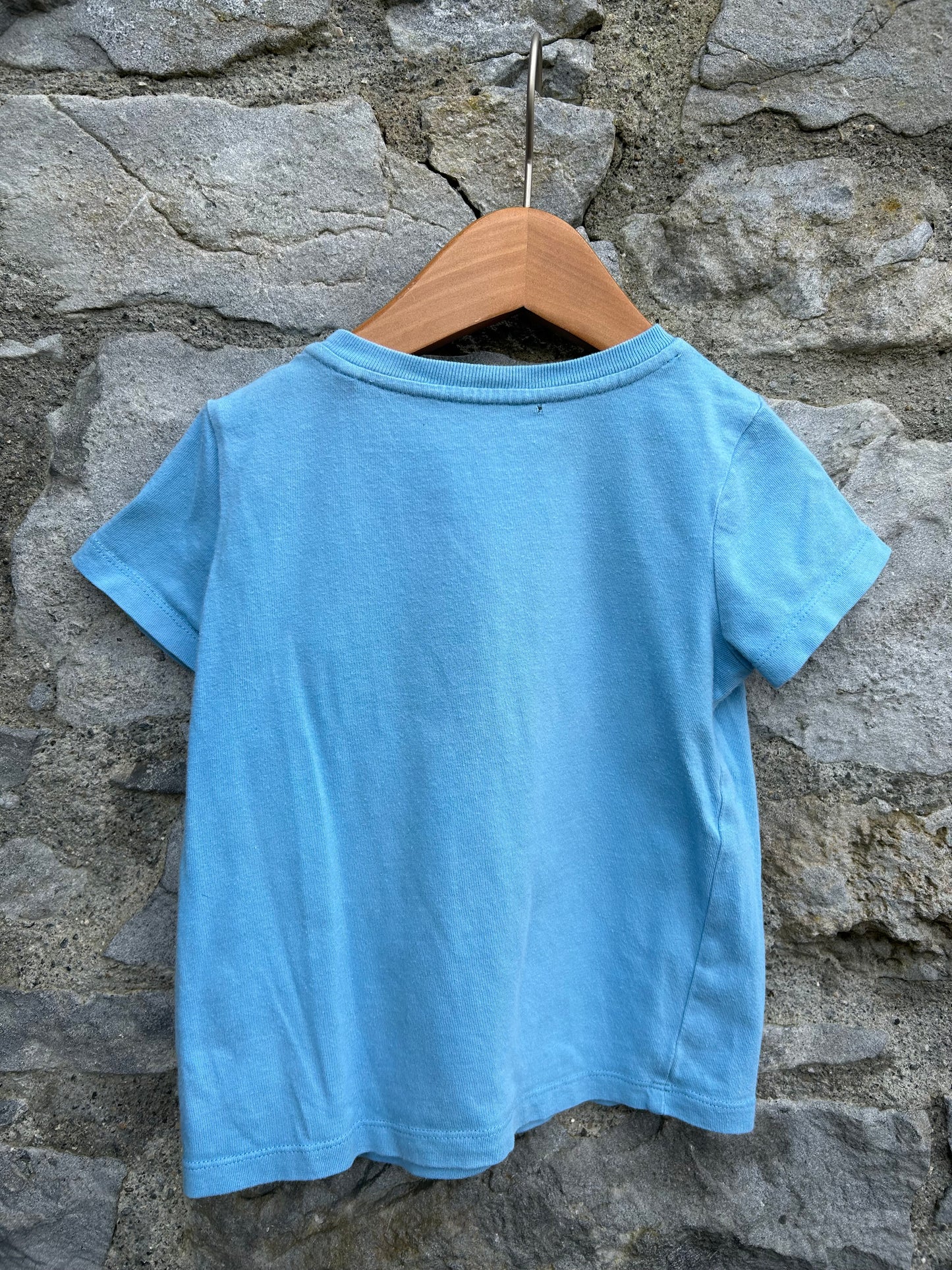 Whale blue T-shirt  3y (98cm)