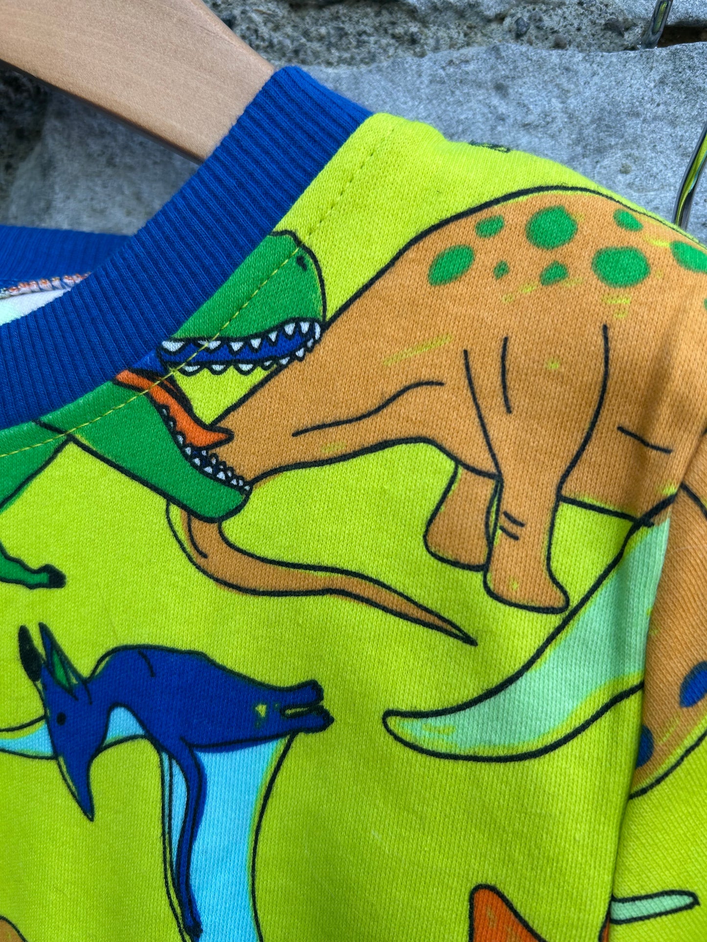 Colourful dinosaurs pjs 9-10y (134-140cm)