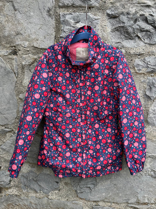 Ladybug navy jacket   5-6y (110-116cm)