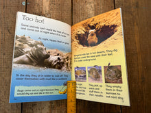 Load image into Gallery viewer, Usborne animals set
