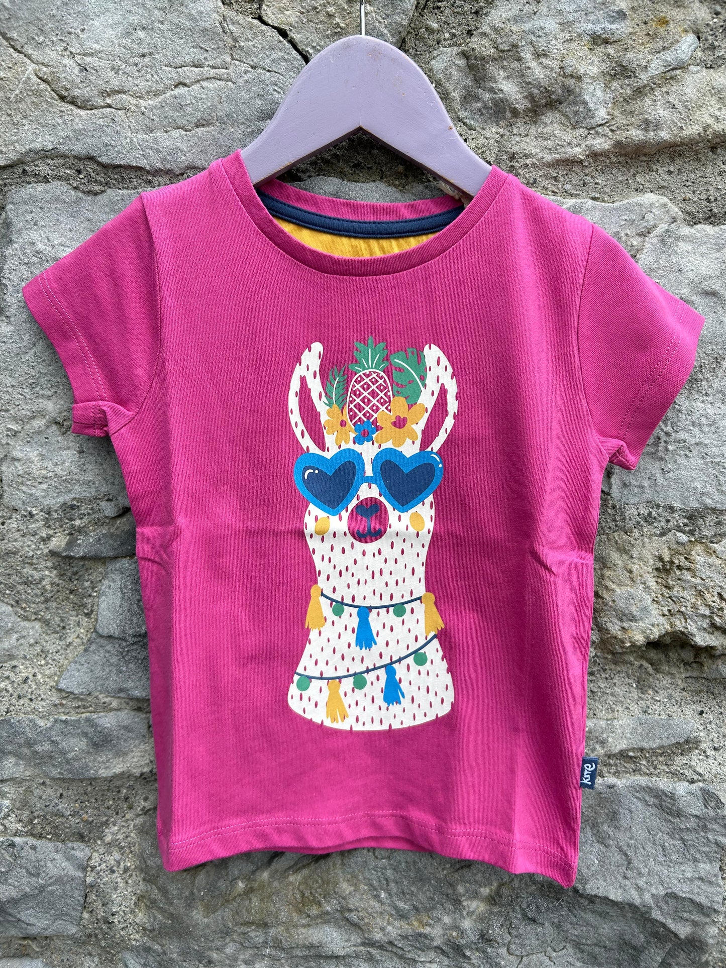 Pink llama T-shirt   3y (98cm)