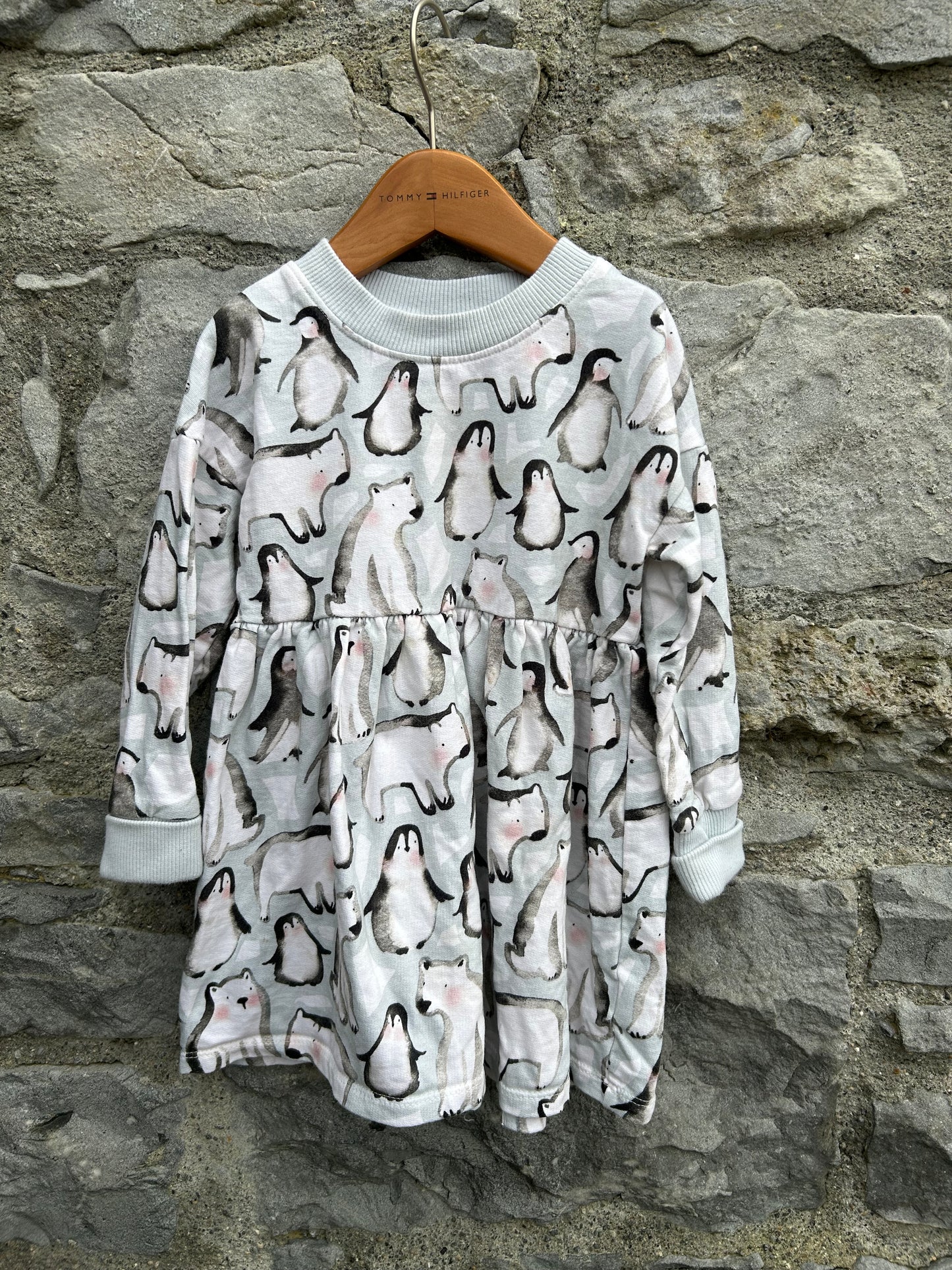 Arctic animals icy blue dress  2-3y (92-98cm)