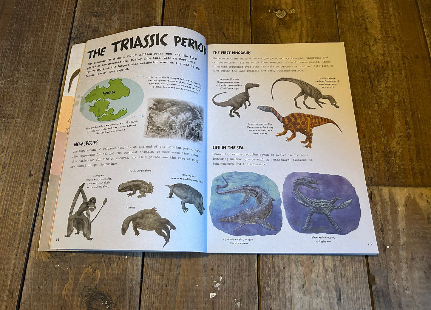Excavate! Dinosaurs: Paper Toy Palaeontology