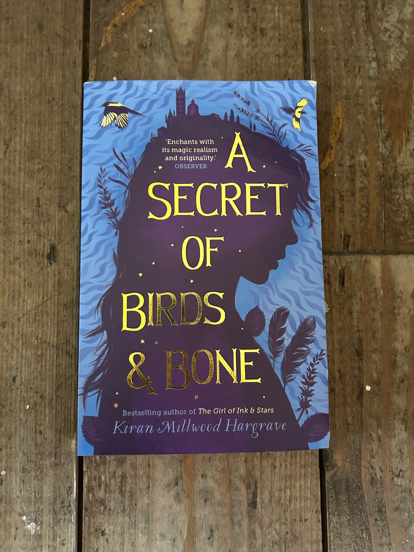 A secret of birds & bone by Kiran Millwood Hargrave