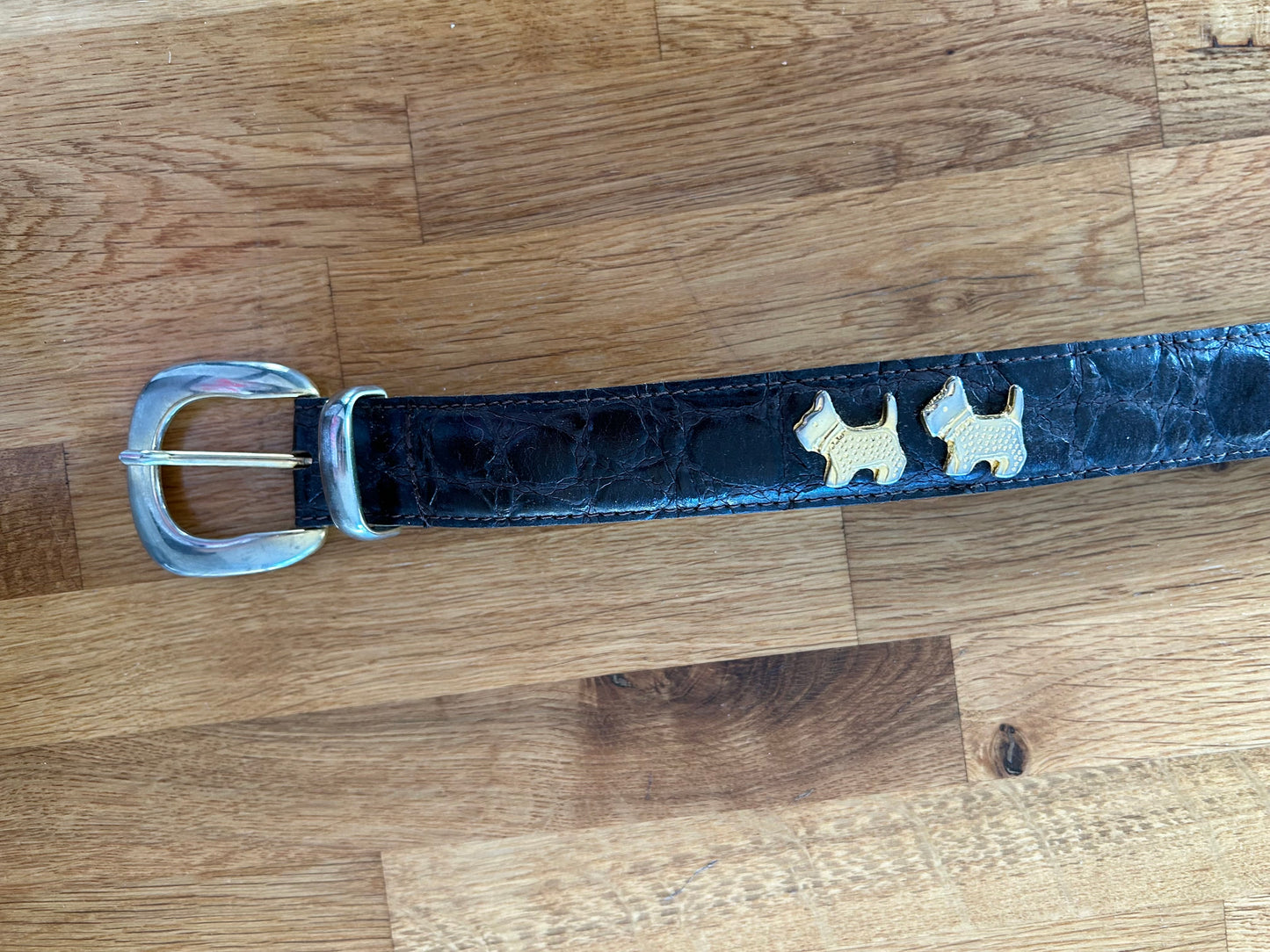 Dogs belt