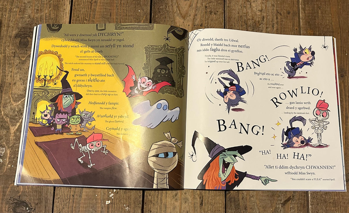 Bwysyfilod bach little monsters by David Walliams