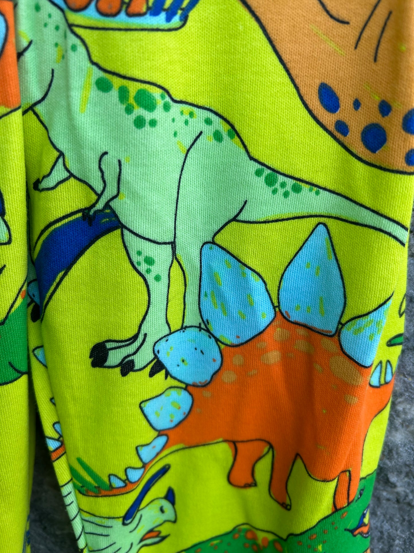 Colourful dinosaurs pjs 9-10y (134-140cm)