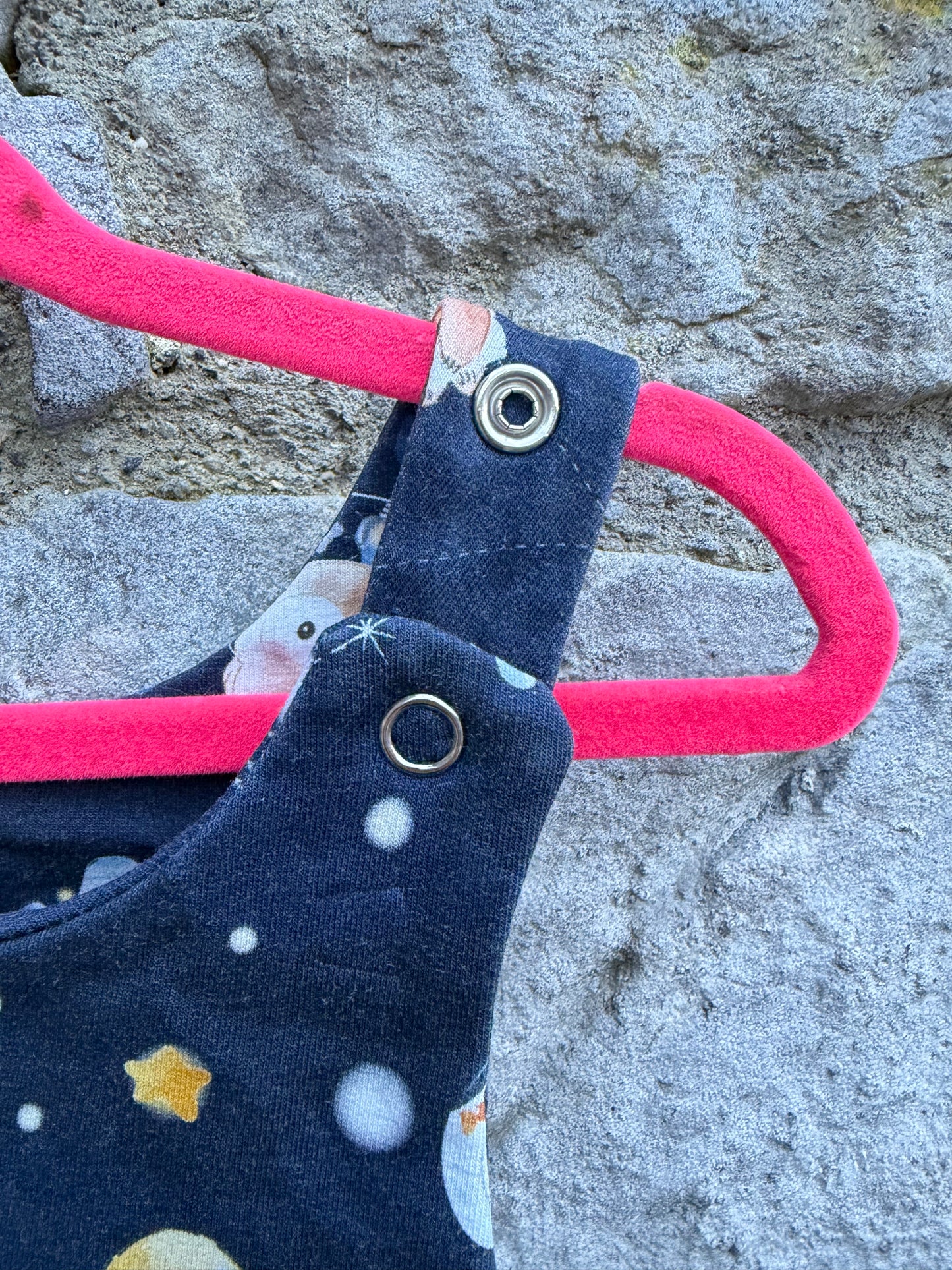 Astronaut animals dungarees 3-12m (62-80cm)