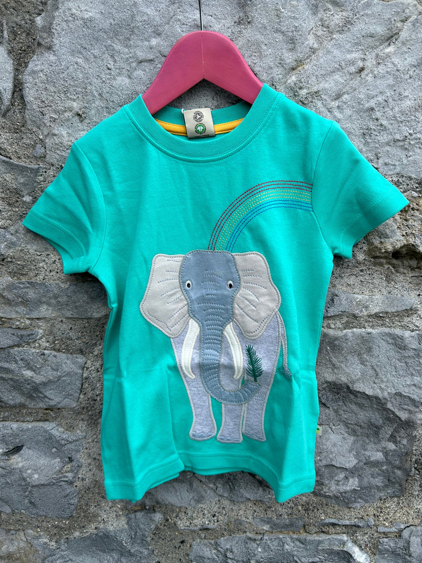 Elephant&rainbow green T-shirt   4-5y (104-110cm)