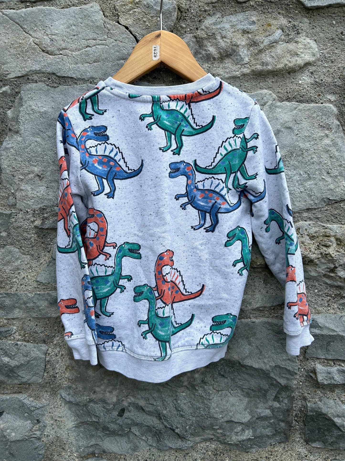 Dinosaurs grey sweatshirt  4-5y (104-110cm)