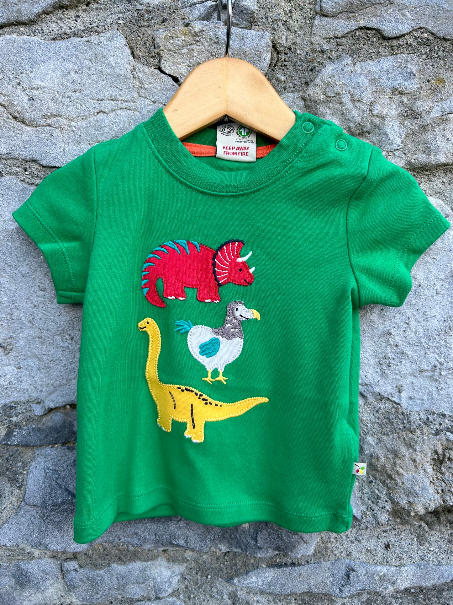 Dinosaurs green T-shirt  3-6m (62-68cm)