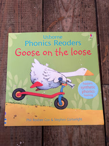 Usborne phonics readers set