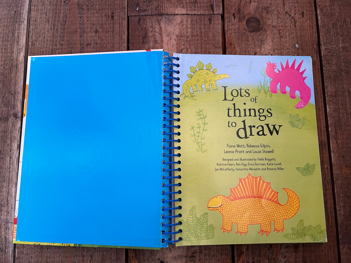 Lots of things to draw by Fiona Watt