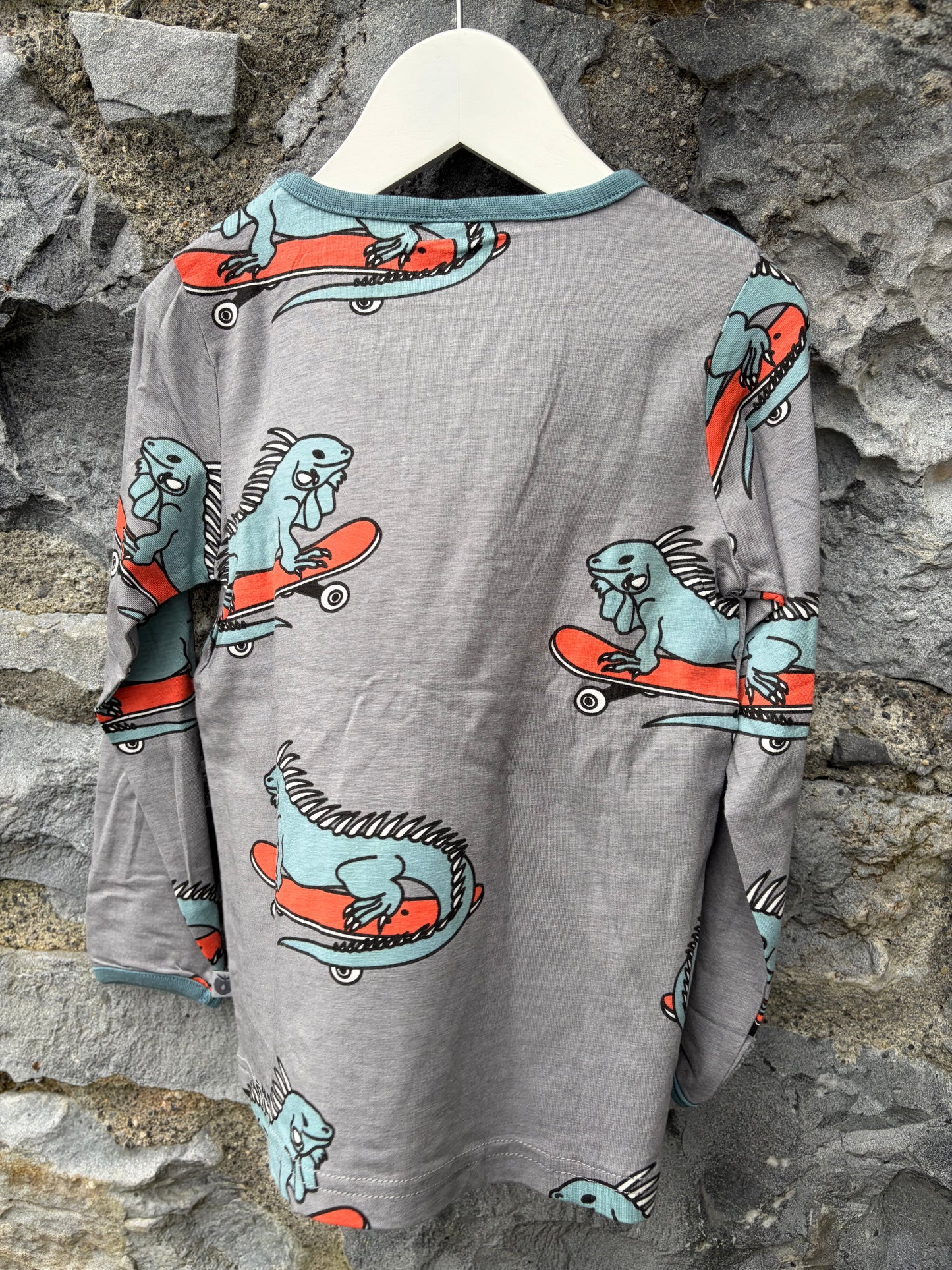 Iguana on skateboards grey top  3-4y (98-104cm)