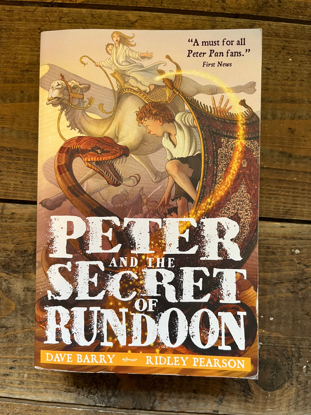 Peter and the Secret of Rundoon by Dave Barry and Ridley Pearson