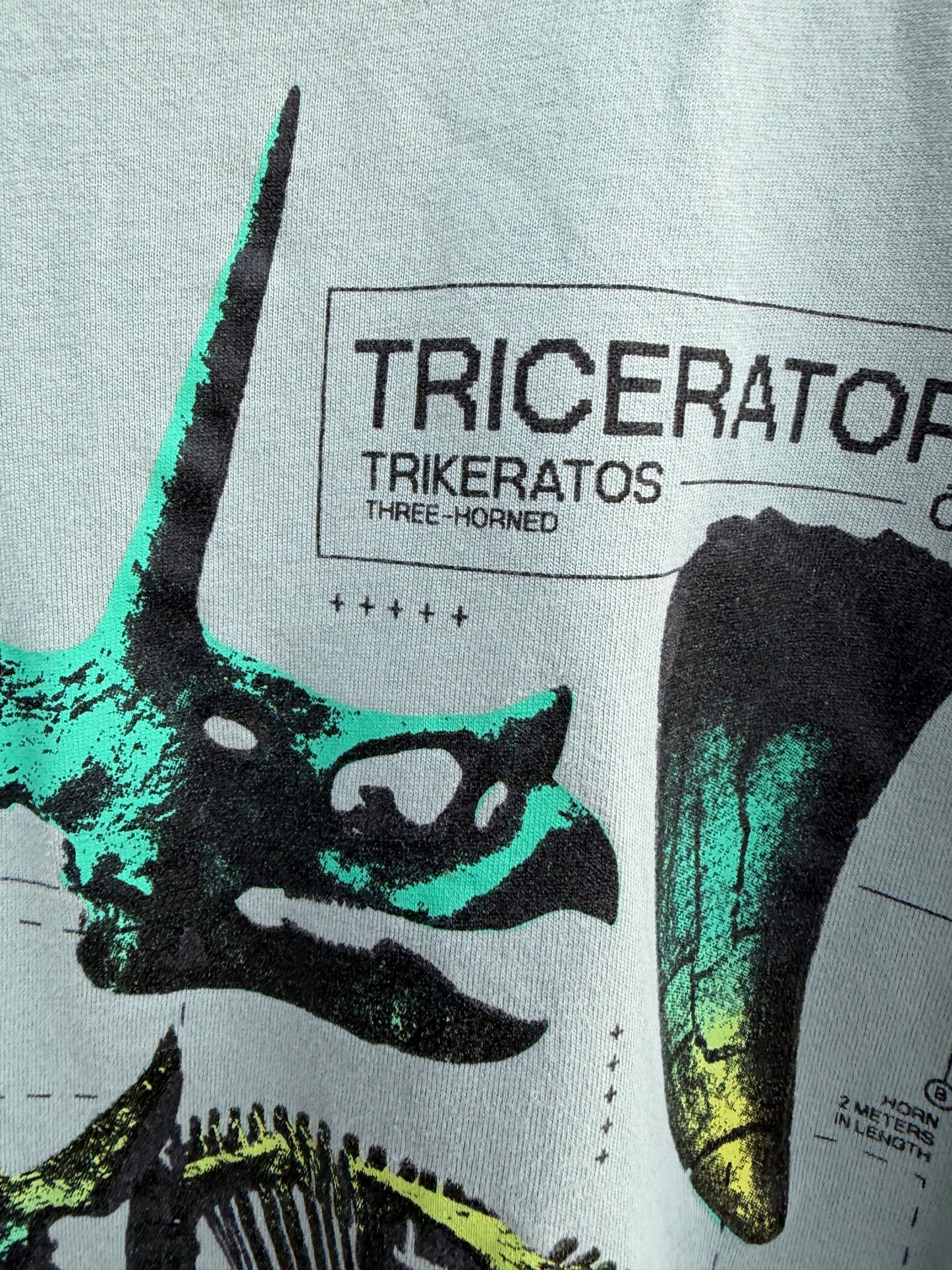 Triceratops grey T-shirt 4y (104cm)