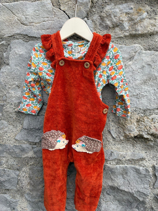 Autumn cord dungarees&top  3-6m (62-68cm)