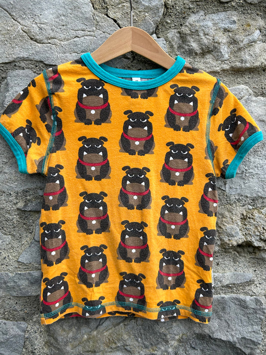 Bulldog T-shirt  3-4y (98-104cm)