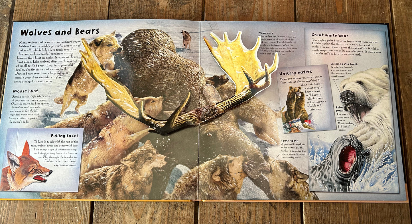 Predators pop up book