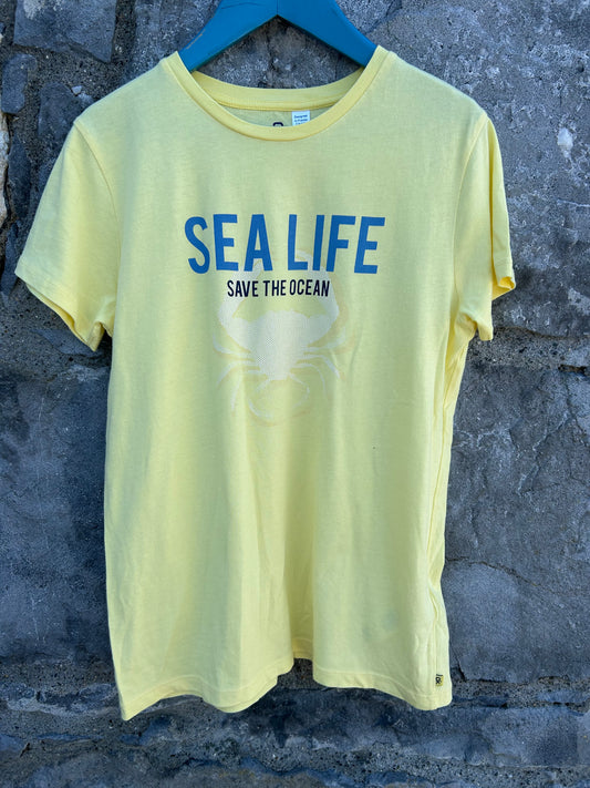 Sea life yellow T-shirt  12y (152cm)