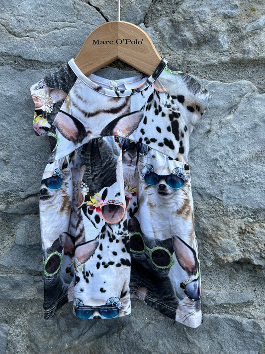 Animals in sunglasses dress 3m (62cm)