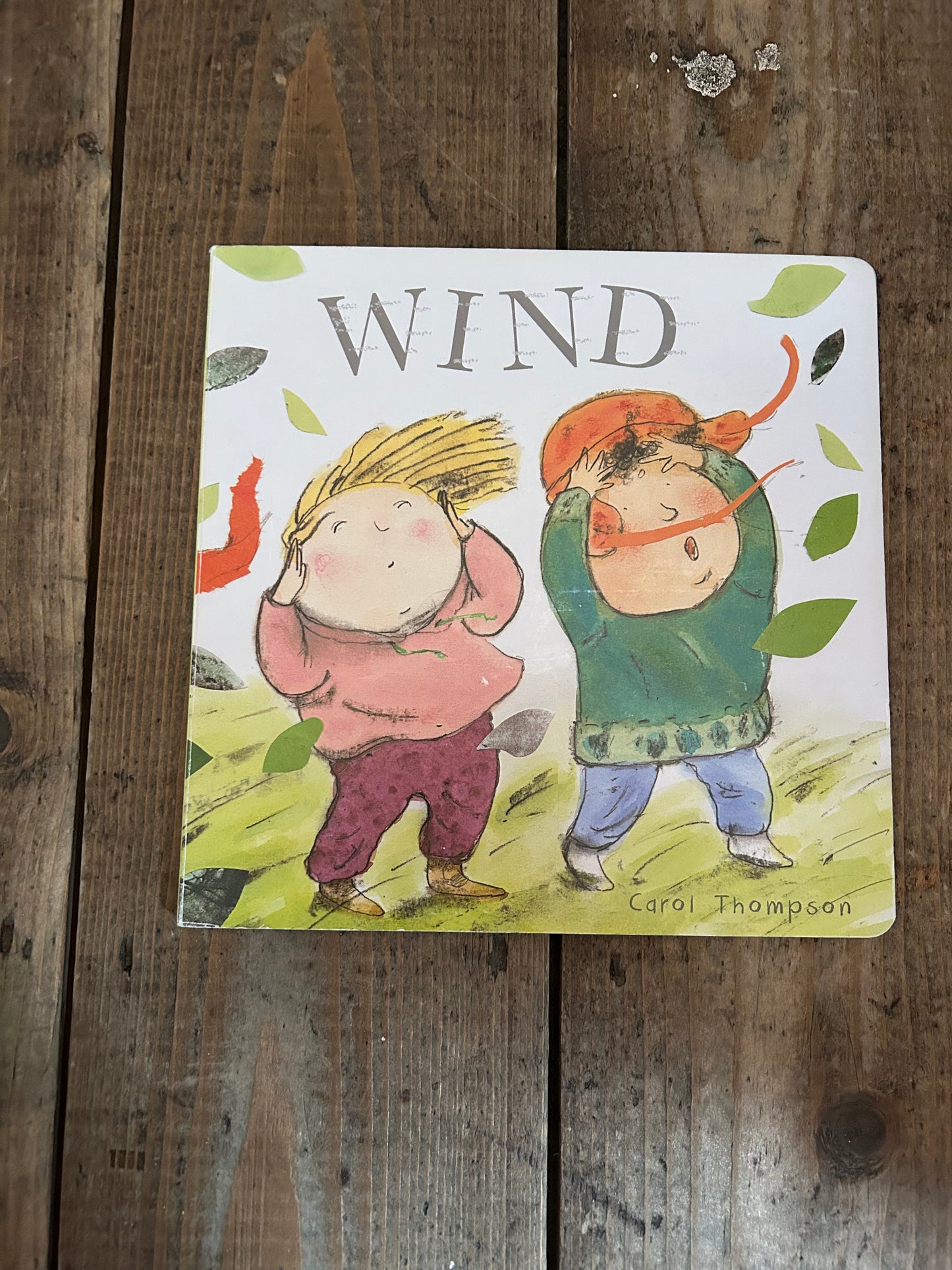 Wind by Carol Thompson
