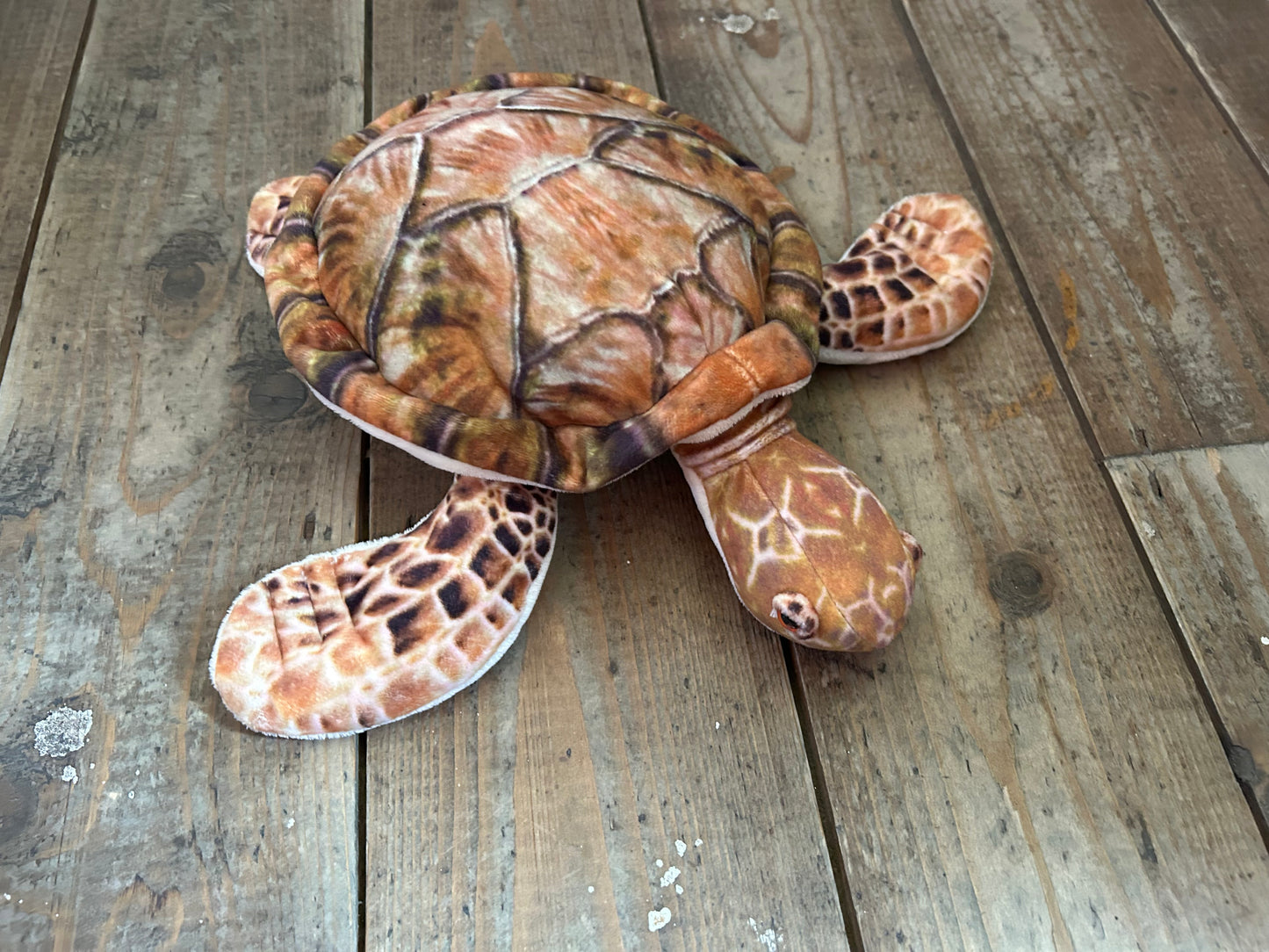 Turtle soft toys