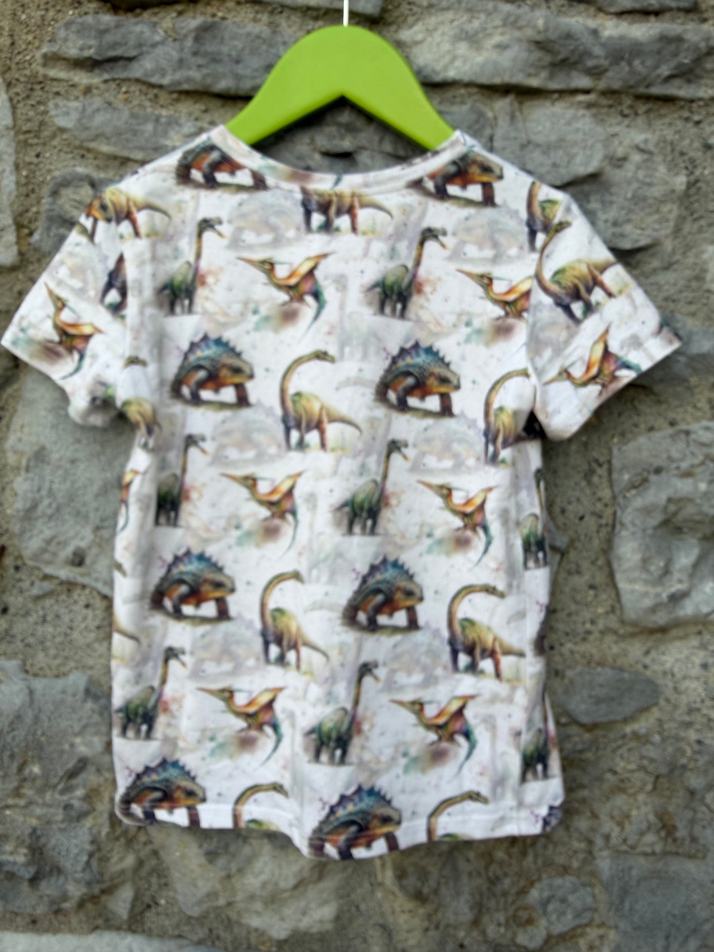 Dinosaurs T-shirt  5y (110cm)