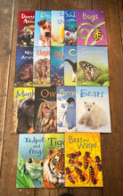 Load image into Gallery viewer, Usborne animals set
