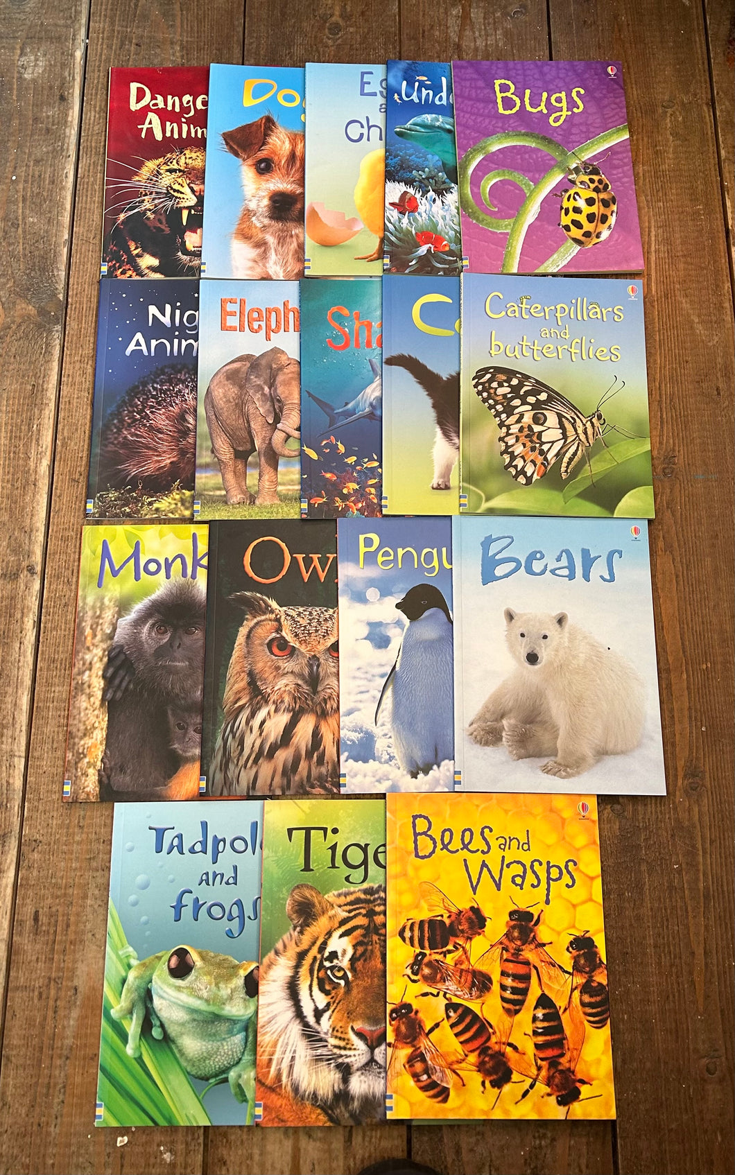 Usborne animals set