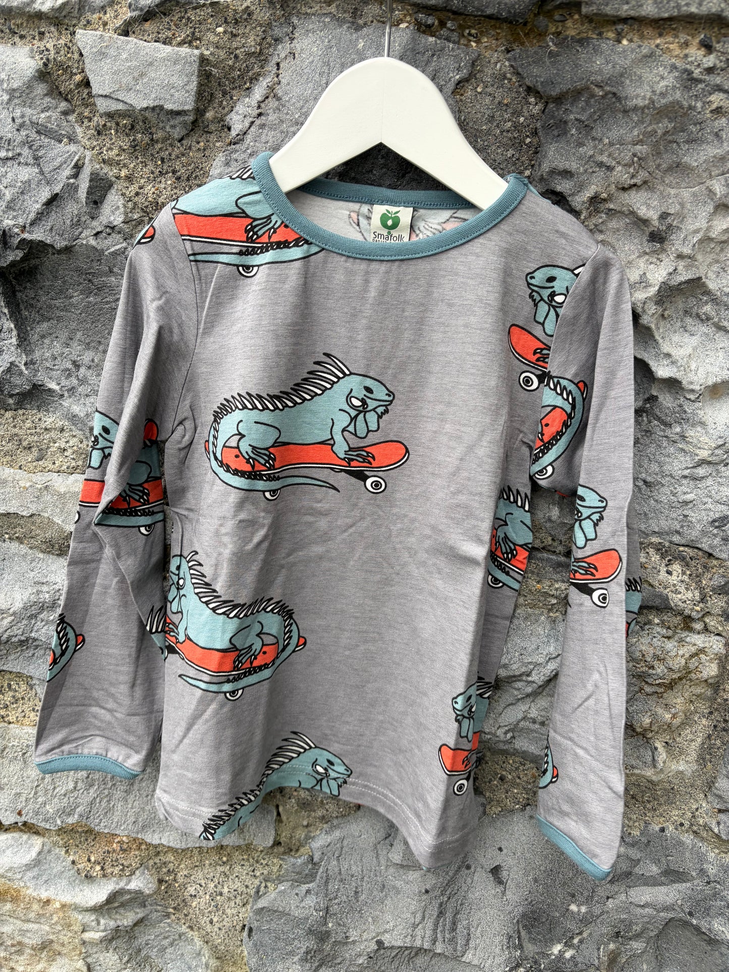 Iguana on skateboards grey top  3-4y (98-104cm)