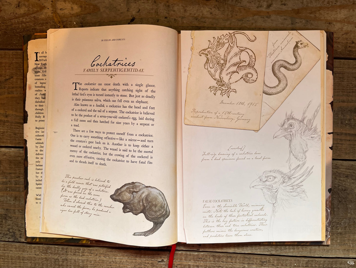 Arthur Spiderwick’s Field Guide By Toni Diterlizzi