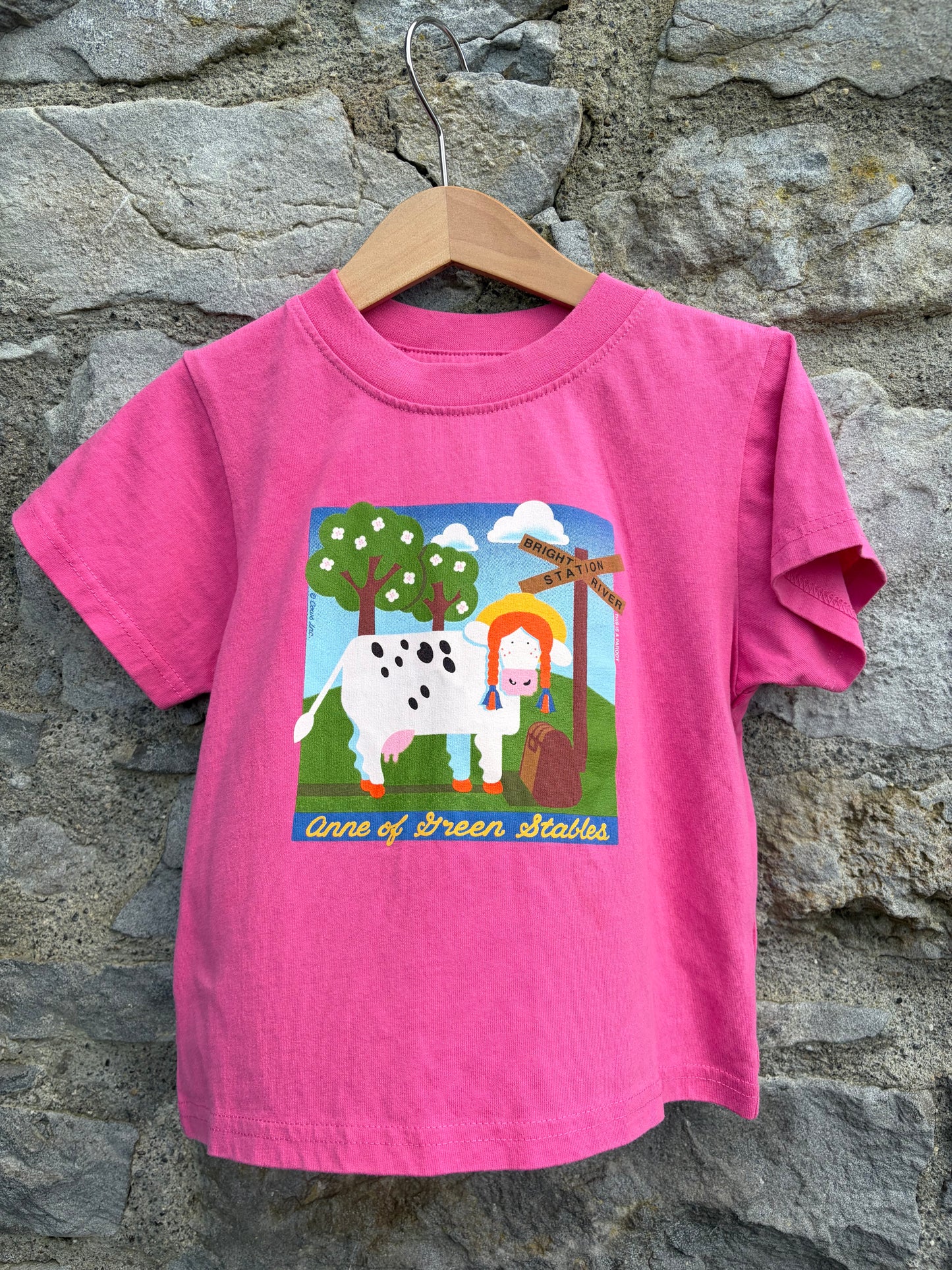 Anne of Green Stables pink t-shirt  3-4y (98-104cm)