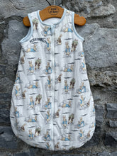Load image into Gallery viewer, Peter Rabbit sleeping bag   0-6m (56-68cm)
