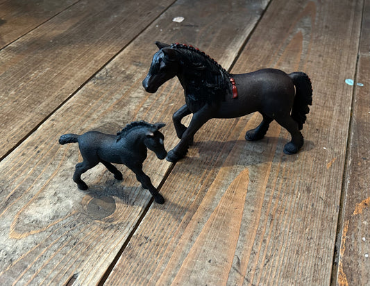 Black horses