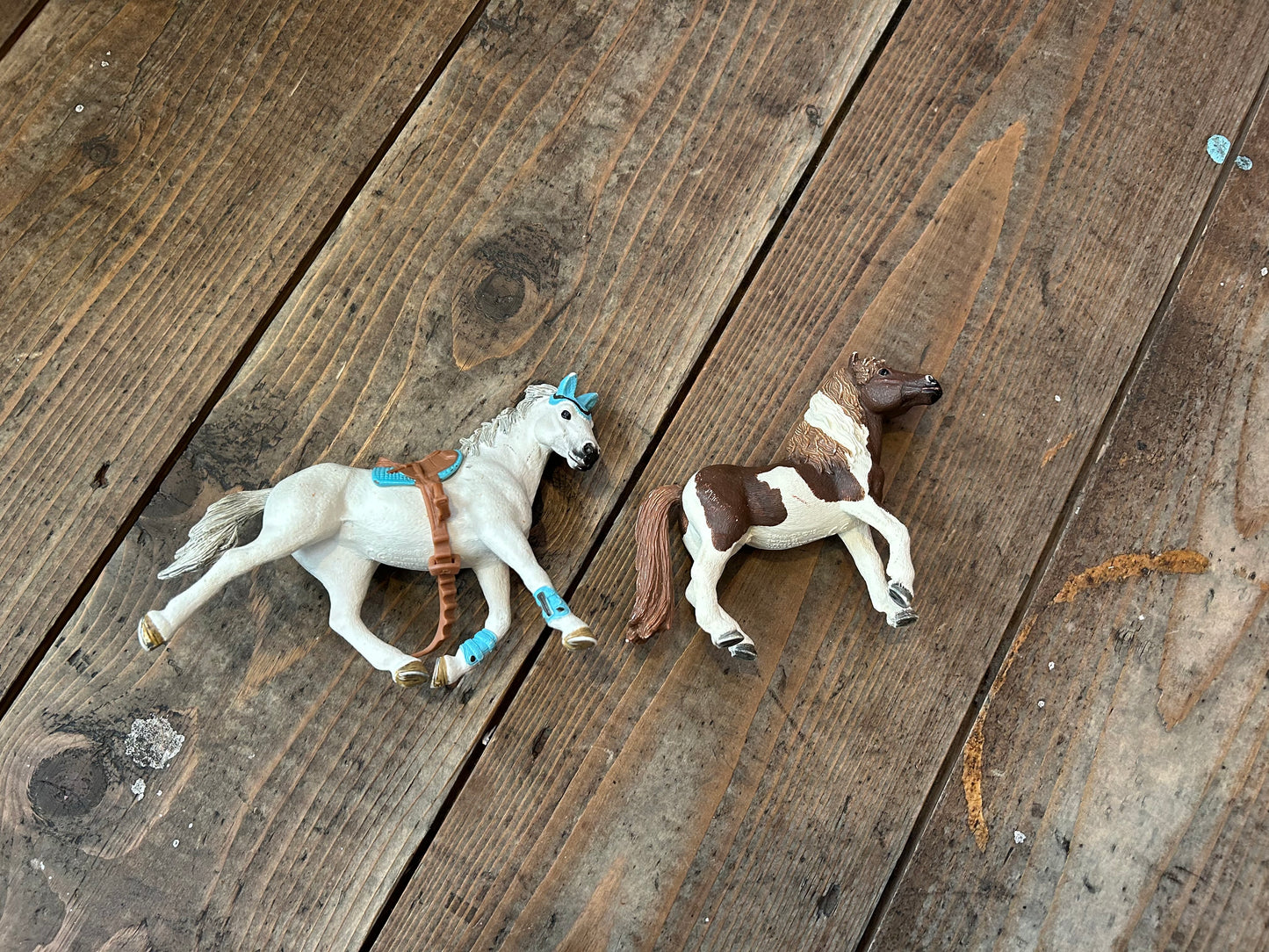 White horses