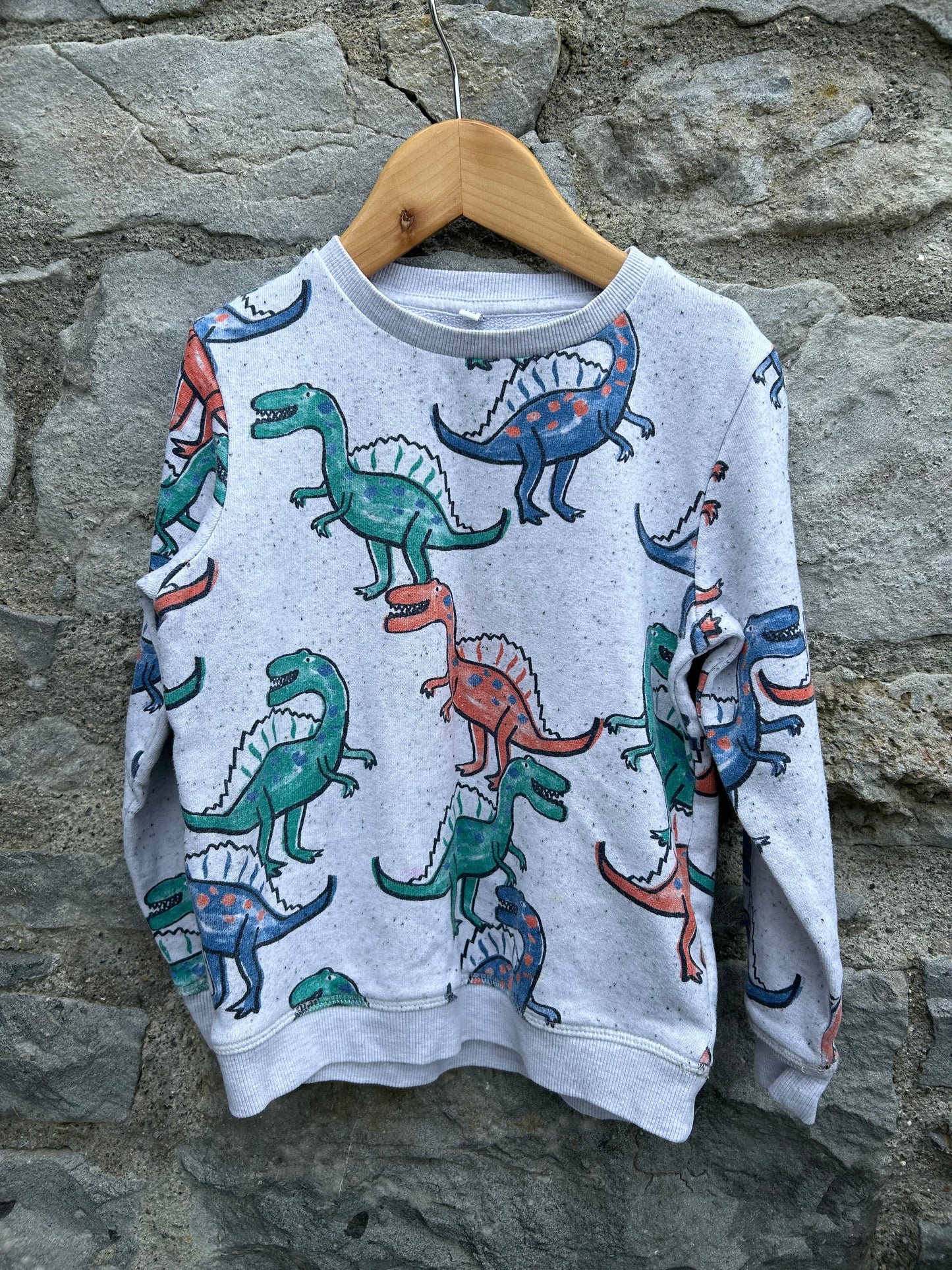 Dinosaurs grey sweatshirt  4-5y (104-110cm)