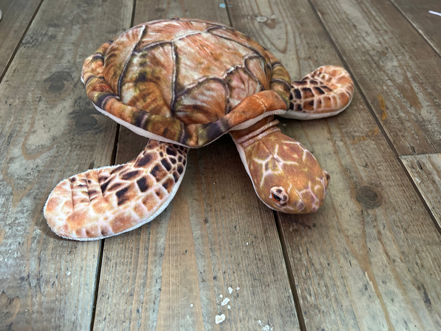 Turtle soft toys
