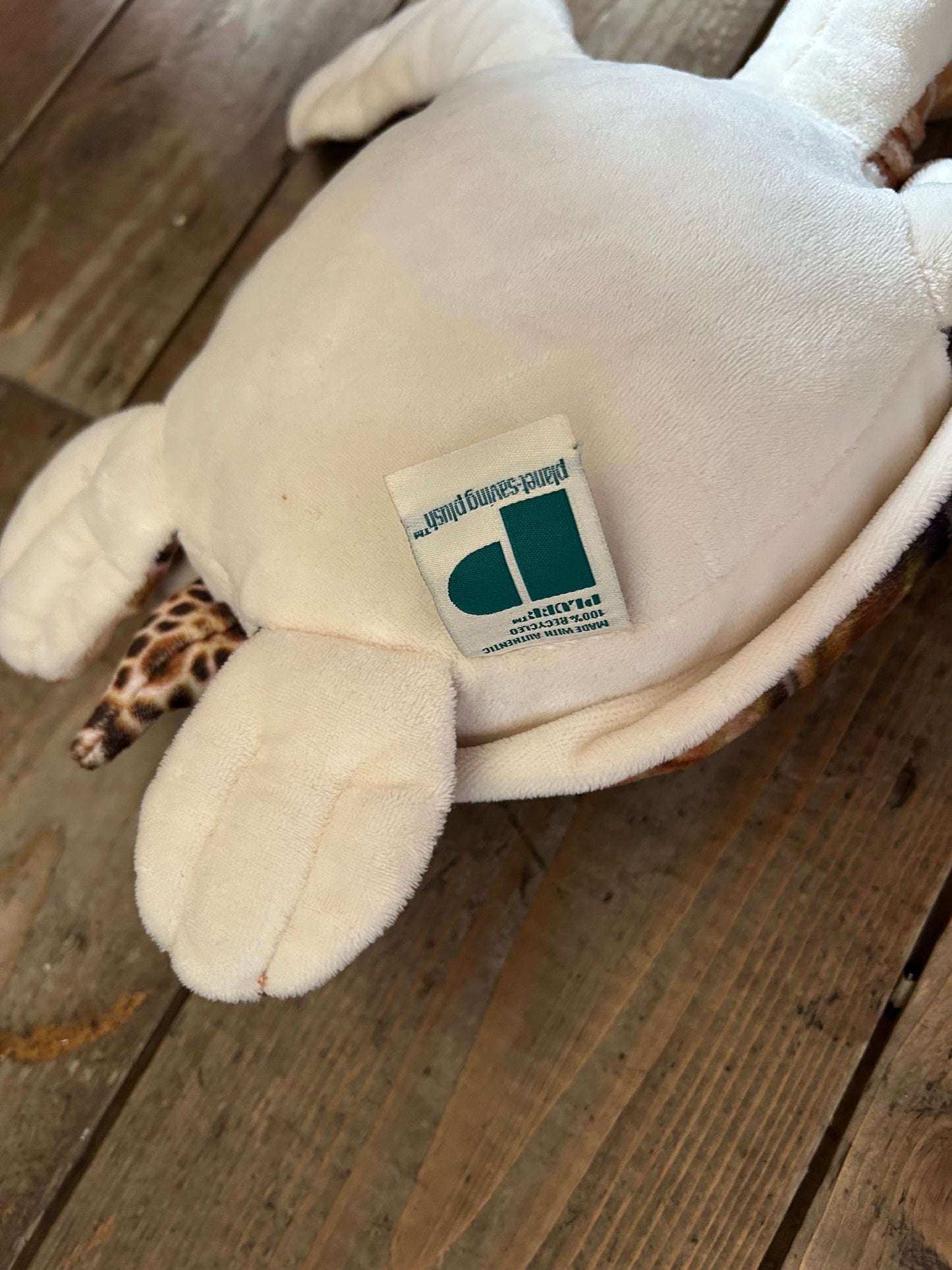 Turtle soft toys