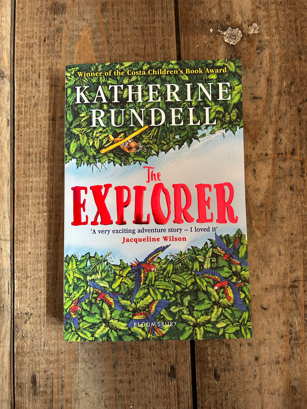 The explorer by Katherine Rundell