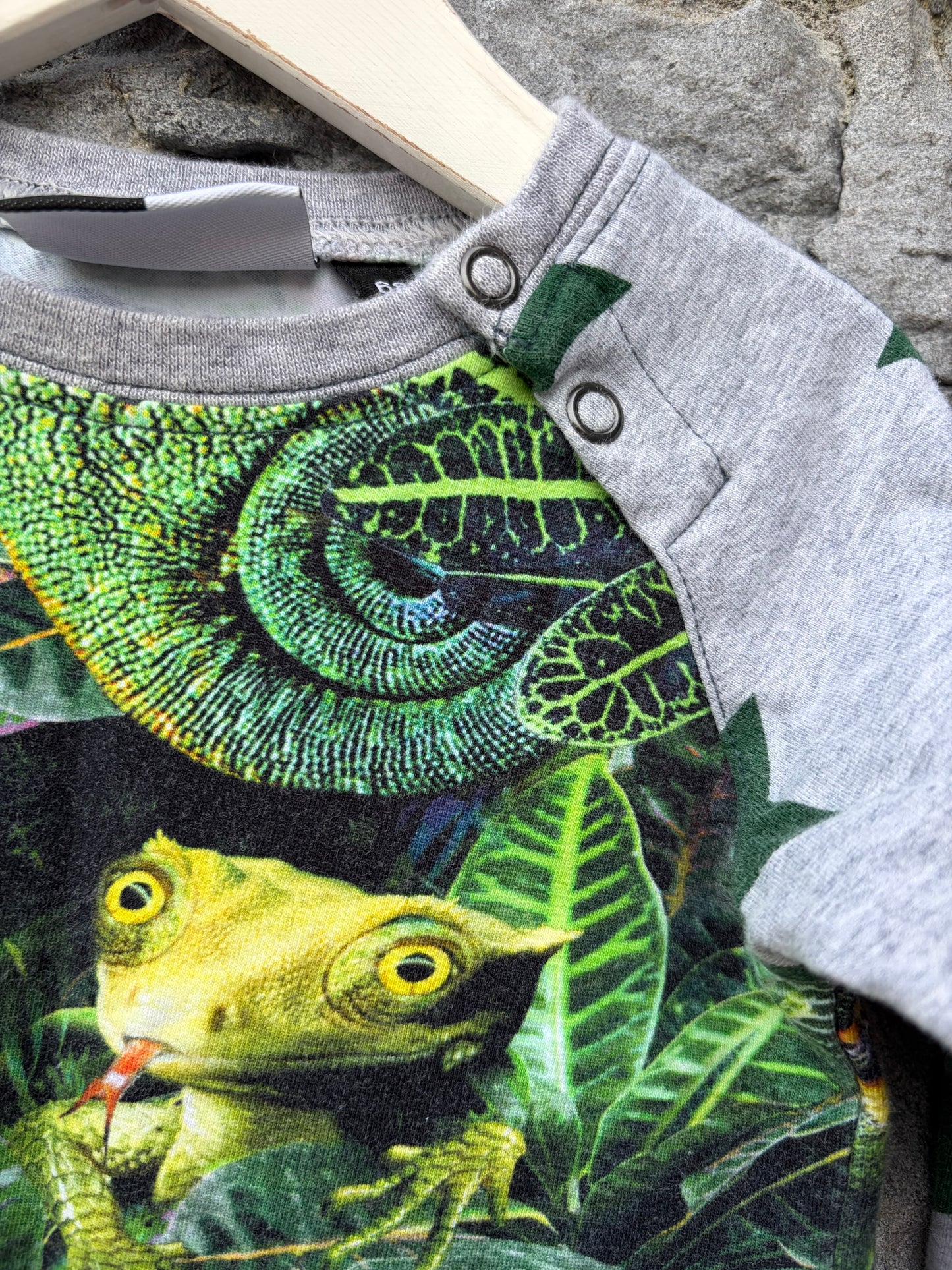 Lizard raglan top  3-6m (62-68cm)